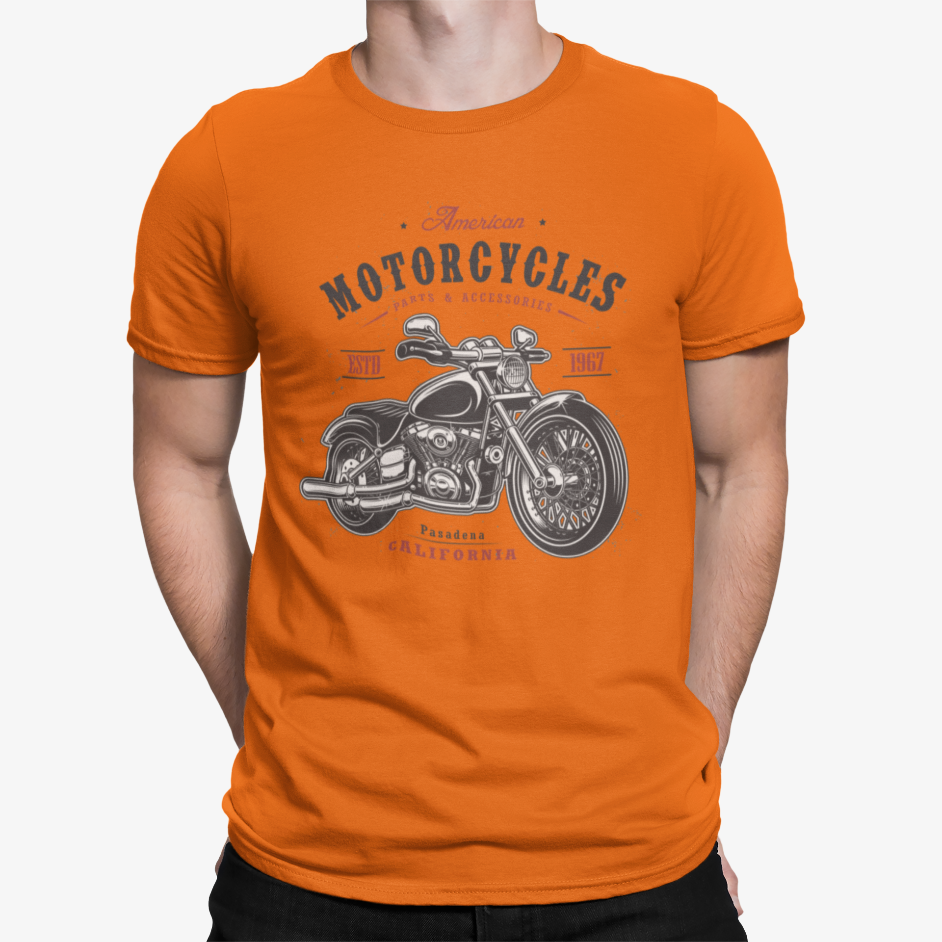 Camiseta American Motors