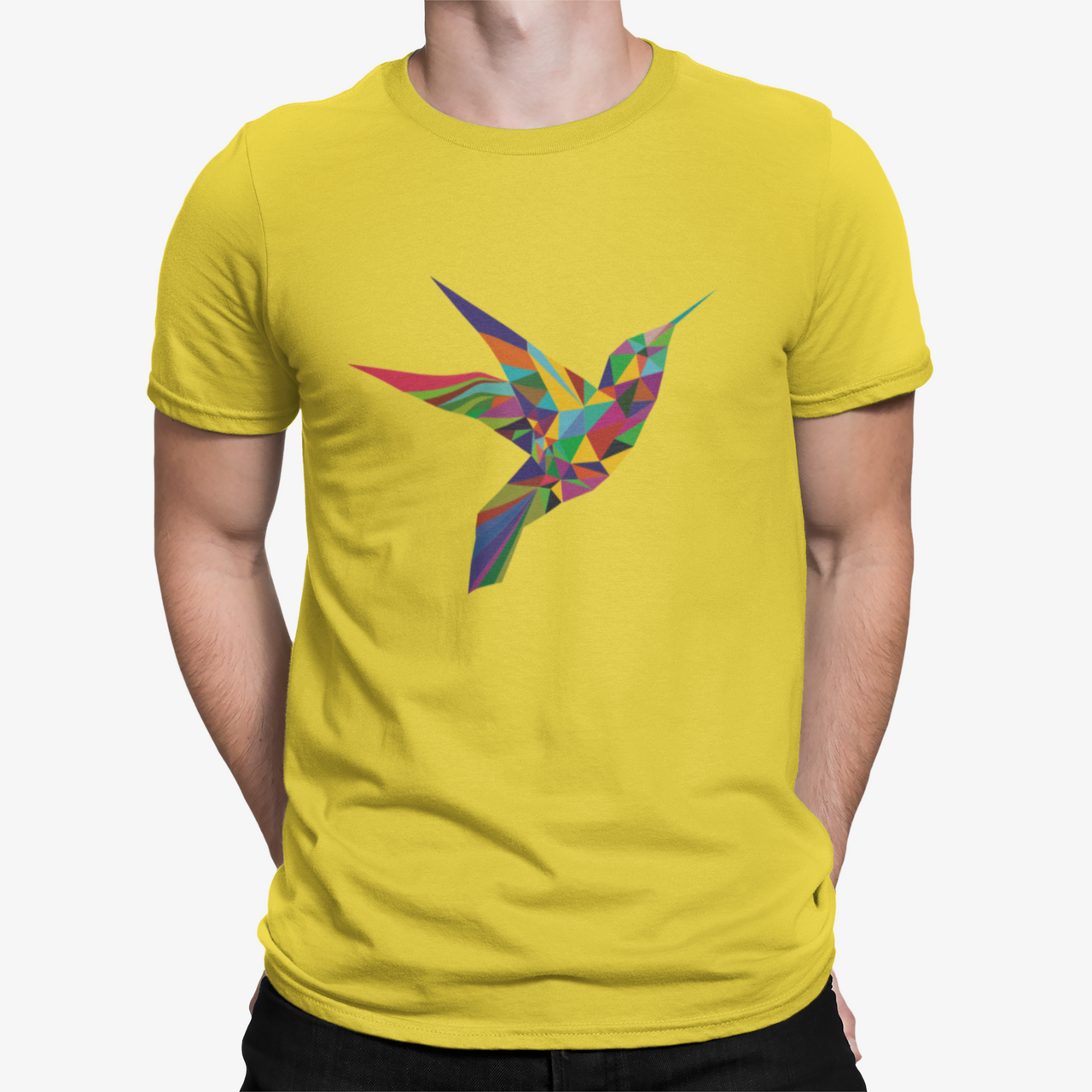 Camiseta Colibri Color