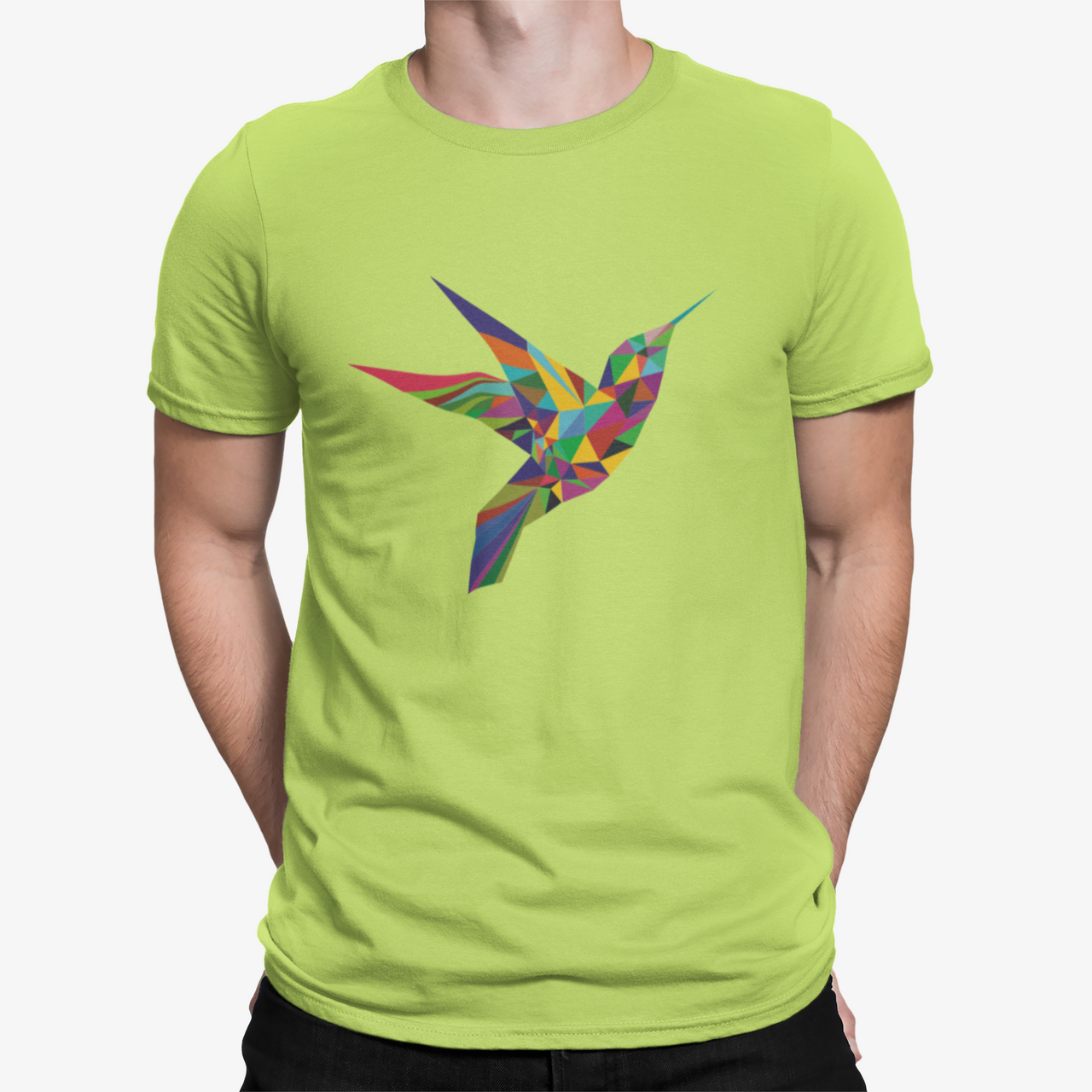 Camiseta Colibri Color