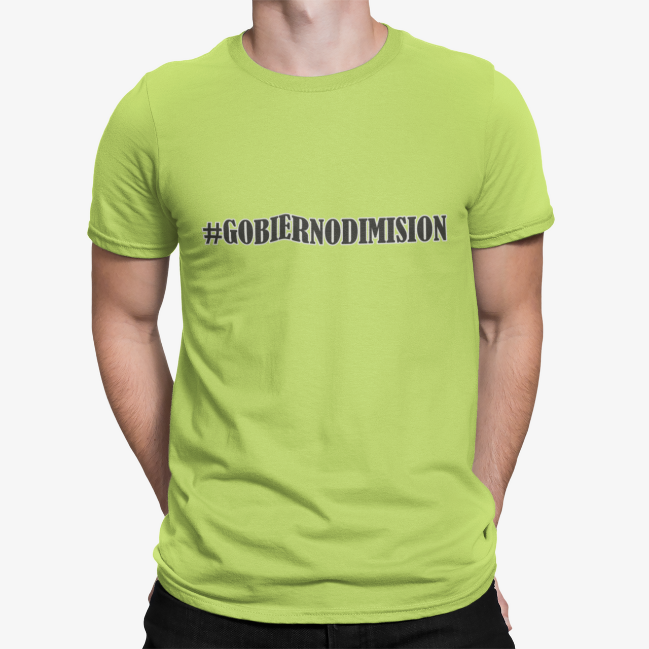 Camiseta Gobierno Dimisión